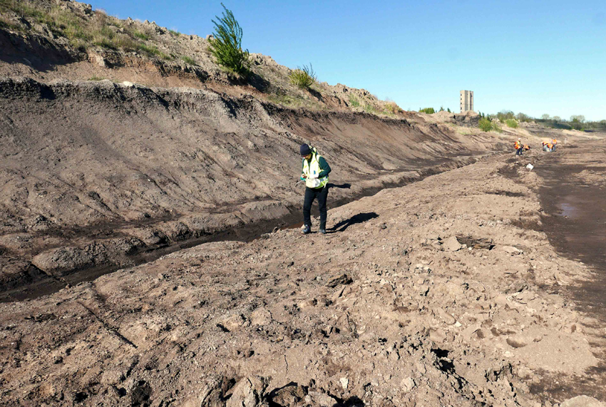Min-Geo Suche nach Gipskristall im Braunkohletagebau Amsdorf