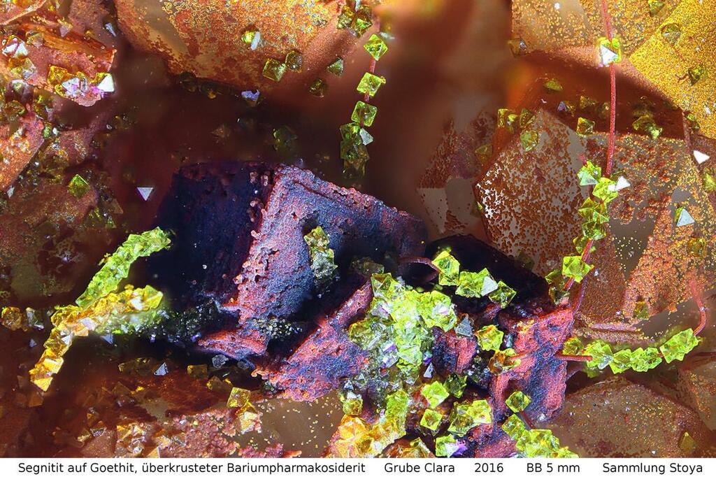 Segnitit auf Goethit mit Pharmakosiderit, Grube Clara, Bildbreite 5,0 Millimeter.